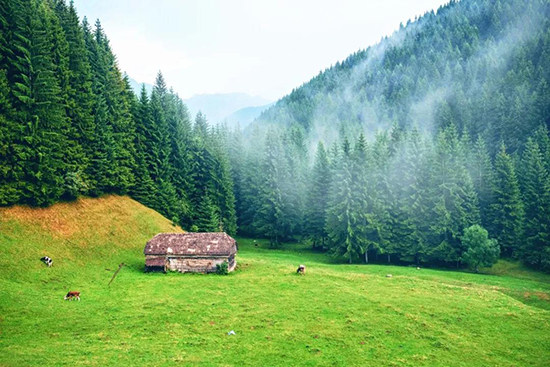 瓦屋山云麓小镇秋和你都在路上
