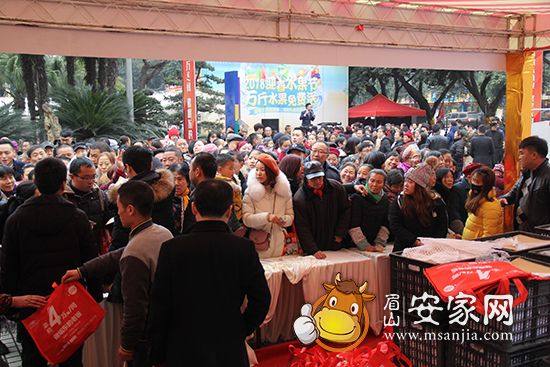 岷东生活广场“新春水果节”欢乐开启！